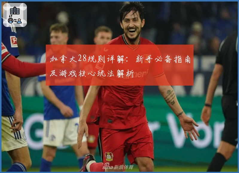 加拿大28规则详解：新手必备指南及游戏核心玩法解析