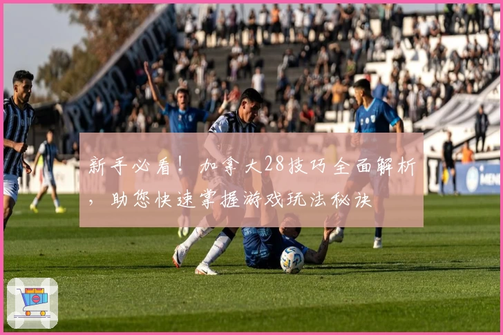 新手必看！加拿大28技巧全面解析，助您快速掌握游戏玩法秘诀