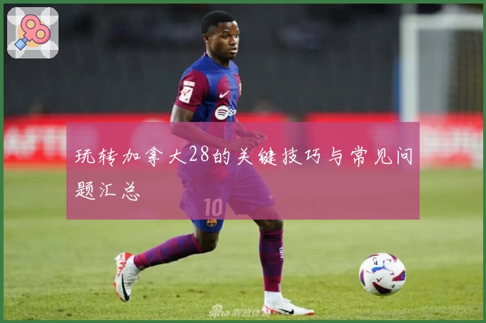 玩转加拿大28的关键技巧与常见问题汇总