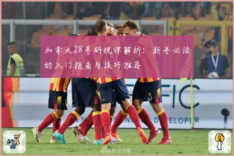 加拿大28号码规律解析：新手必读的入门指南与技巧推荐