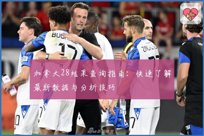 加拿大28结果查询指南：快速了解最新数据与分析技巧