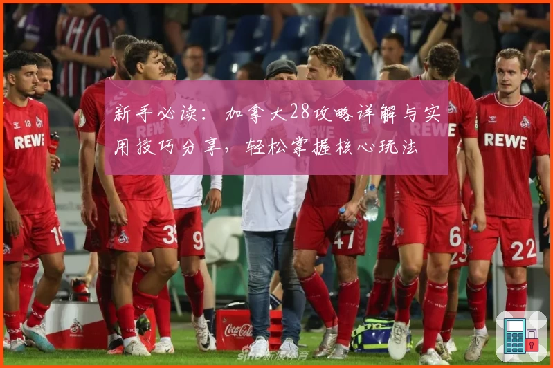 新手必读：加拿大28攻略详解与实用技巧分享，轻松掌握核心玩法