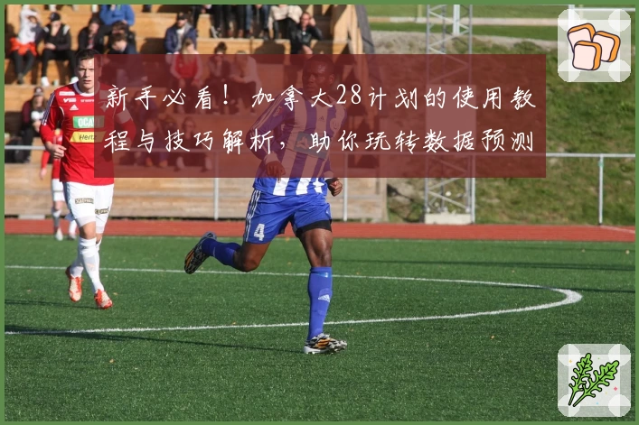 新手必看！加拿大28计划的使用教程与技巧解析，助你玩转数据预测