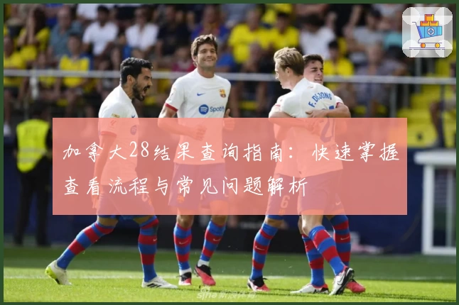 加拿大28结果查询指南：快速掌握查看流程与常见问题解析