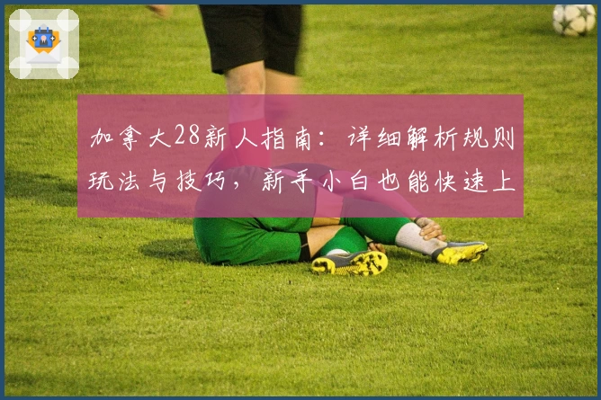 加拿大28新人指南：详细解析规则玩法与技巧，新手小白也能快速上手