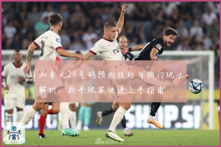 加拿大28号码预测技巧与热门玩法解析，新手玩家快速上手指南