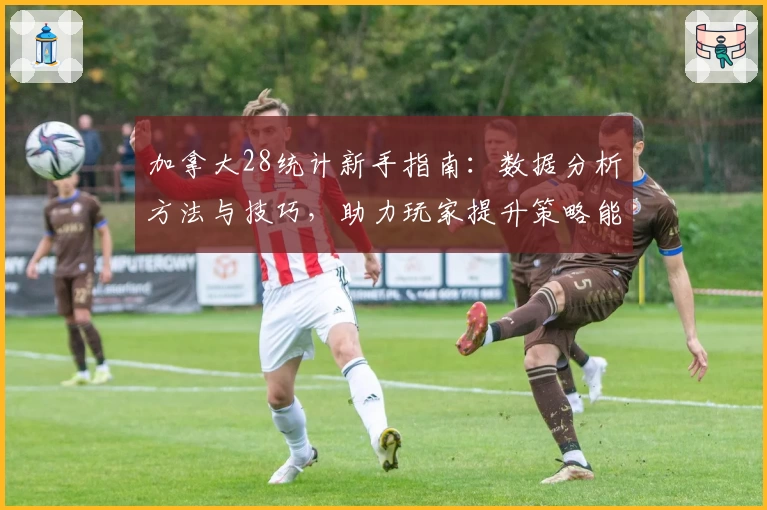 加拿大28统计新手指南：数据分析方法与技巧，助力玩家提升策略能力