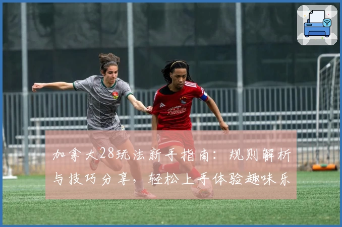 加拿大28玩法新手指南：规则解析与技巧分享，轻松上手体验趣味乐趣