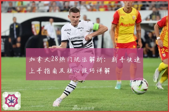 加拿大28热门玩法解析：新手快速上手指南及核心技巧详解