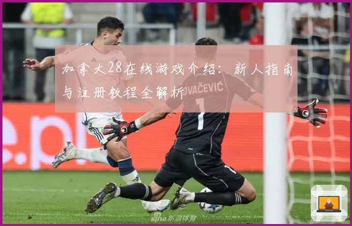 加拿大28在线游戏介绍：新人指南与注册教程全解析