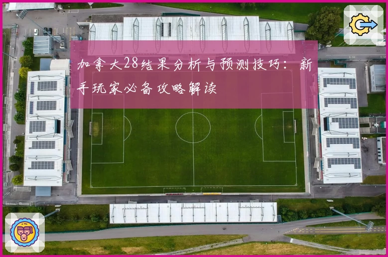 加拿大28结果分析与预测技巧：新手玩家必备攻略解读