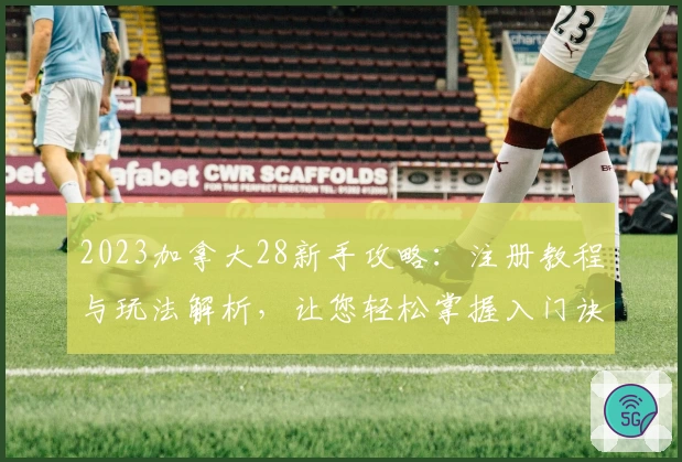 2023加拿大28新手攻略：注册教程与玩法解析，让您轻松掌握入门诀窍