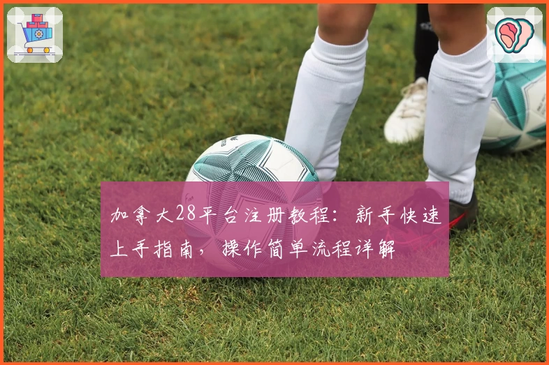 加拿大28平台注册教程：新手快速上手指南，操作简单流程详解