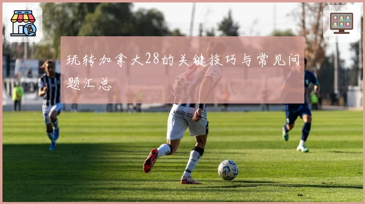 玩转加拿大28的关键技巧与常见问题汇总