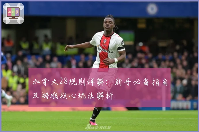 加拿大28规则详解：新手必备指南及游戏核心玩法解析