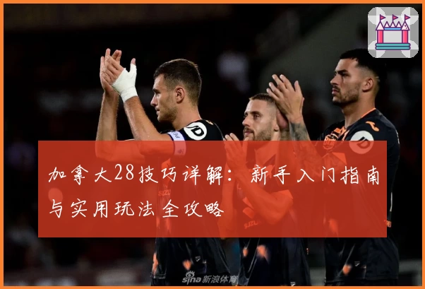 加拿大28技巧详解：新手入门指南与实用玩法全攻略