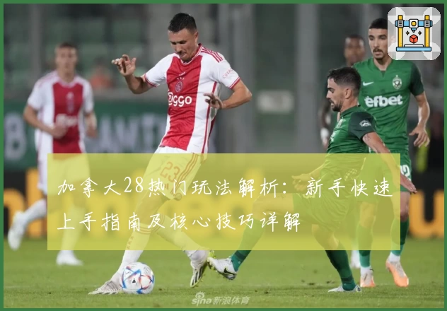 加拿大28热门玩法解析：新手快速上手指南及核心技巧详解