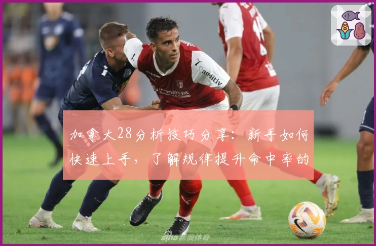 加拿大28分析技巧分享：新手如何快速上手，了解规律提升命中率的实用指南