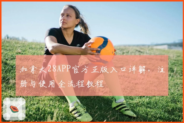 加拿大28APP官方正版入口详解，注册与使用全流程教程