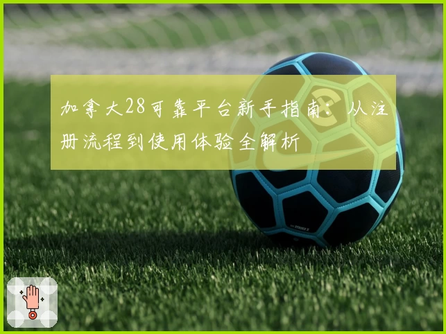 加拿大28可靠平台新手指南：从注册流程到使用体验全解析