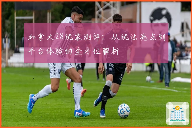 加拿大28玩家测评：从玩法亮点到平台体验的全方位解析