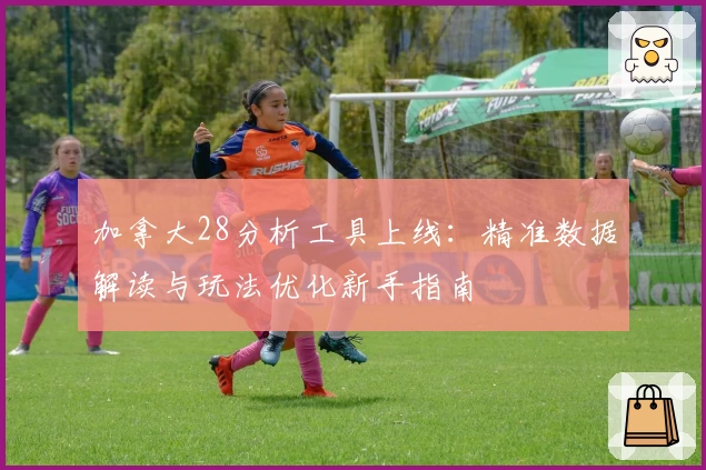 加拿大28分析工具上线：精准数据解读与玩法优化新手指南