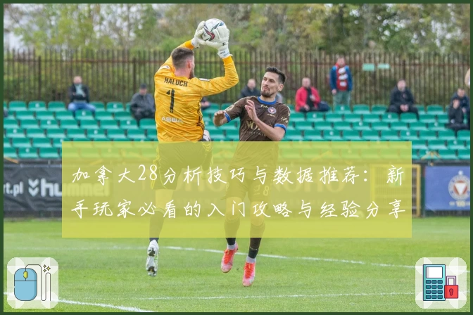 加拿大28分析技巧与数据推荐：新手玩家必看的入门攻略与经验分享