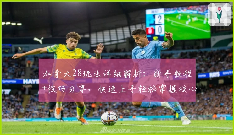 加拿大28玩法详细解析：新手教程+技巧分享，快速上手轻松掌握核心规则