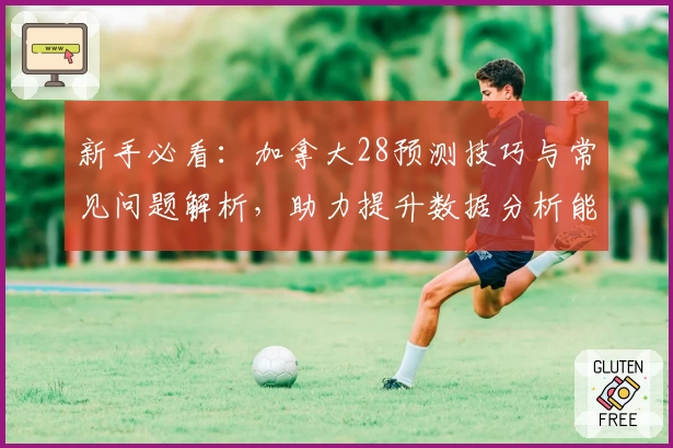 新手必看：加拿大28预测技巧与常见问题解析，助力提升数据分析能力
