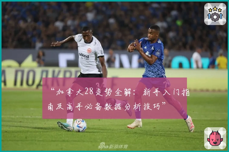 “加拿大28走势全解：新手入门指南及高手必备数据分析技巧”