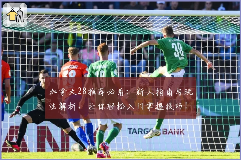 加拿大28推荐必看：新人指南与玩法解析，让你轻松入门掌握技巧！