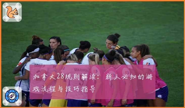 加拿大28规则解读：新人必知的游戏流程与技巧指导