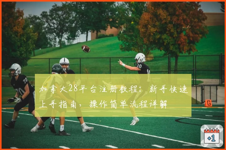 加拿大28平台注册教程：新手快速上手指南，操作简单流程详解