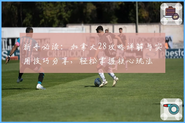 新手必读：加拿大28攻略详解与实用技巧分享，轻松掌握核心玩法