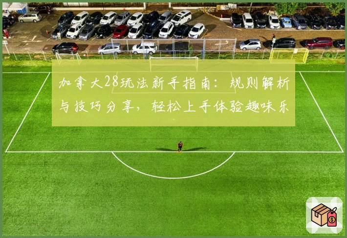 加拿大28玩法新手指南：规则解析与技巧分享，轻松上手体验趣味乐趣