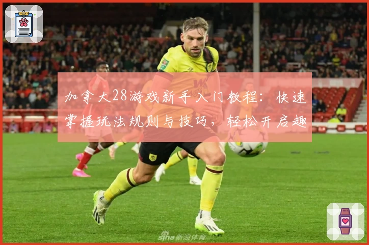 加拿大28游戏新手入门教程：快速掌握玩法规则与技巧，轻松开启趣味体验