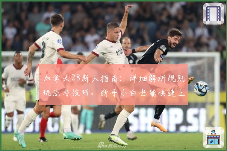 加拿大28新人指南：详细解析规则玩法与技巧，新手小白也能快速上手