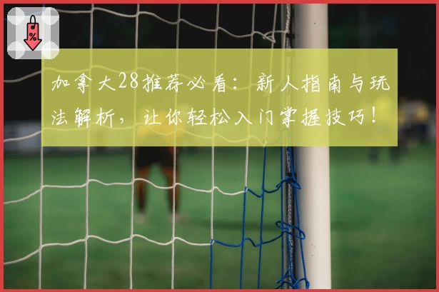 加拿大28推荐必看：新人指南与玩法解析，让你轻松入门掌握技巧！