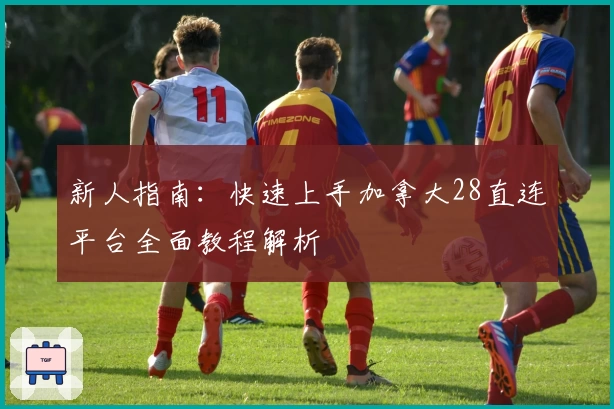 新人指南：快速上手加拿大28直连平台全面教程解析