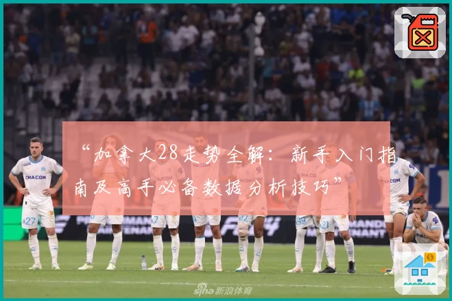 “加拿大28走势全解：新手入门指南及高手必备数据分析技巧”