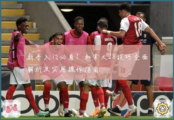新手入门必看！加拿大28技巧全面解析及实用操作指南