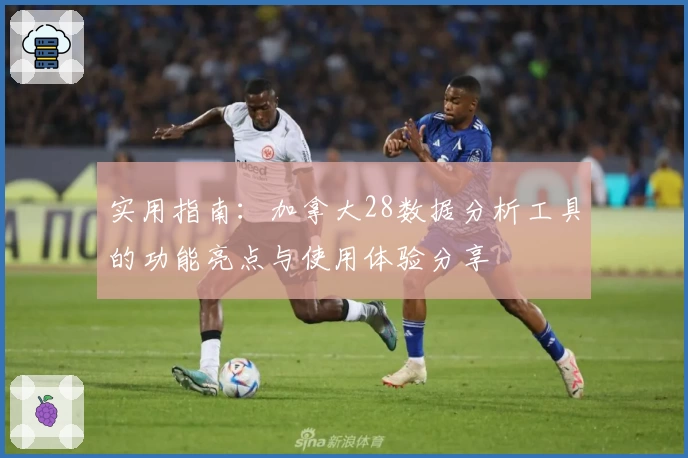 实用指南：加拿大28数据分析工具的功能亮点与使用体验分享