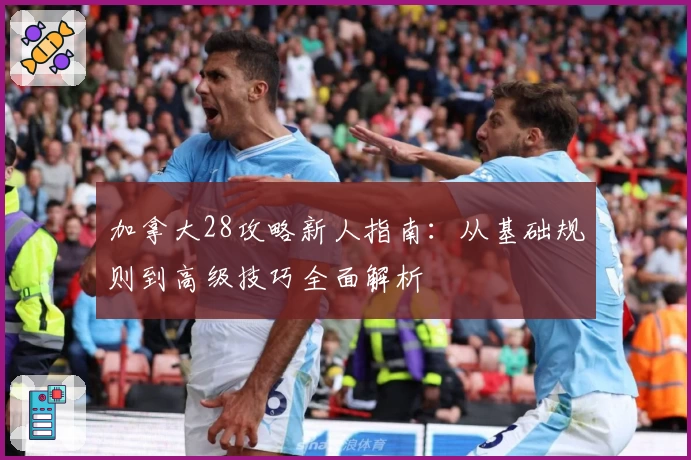 加拿大28攻略新人指南：从基础规则到高级技巧全面解析