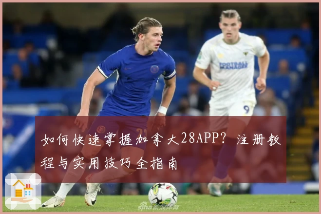 如何快速掌握加拿大28APP？注册教程与实用技巧全指南