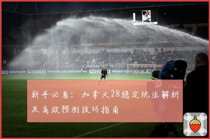 新手必看：加拿大28稳定玩法解析及高效预测技巧指南