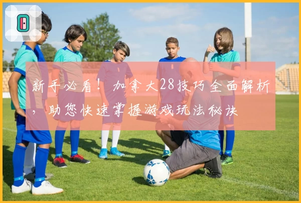 新手必看！加拿大28技巧全面解析，助您快速掌握游戏玩法秘诀