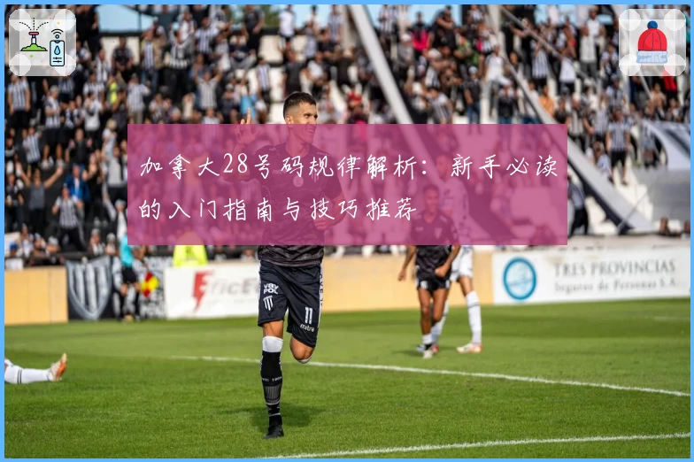 加拿大28号码规律解析：新手必读的入门指南与技巧推荐