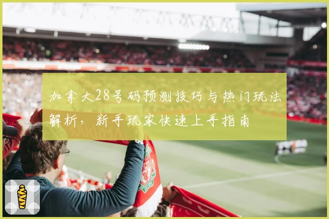加拿大28号码预测技巧与热门玩法解析，新手玩家快速上手指南