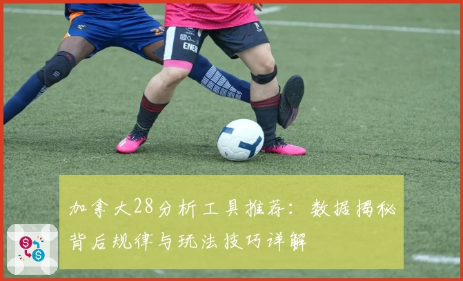加拿大28分析工具推荐：数据揭秘背后规律与玩法技巧详解