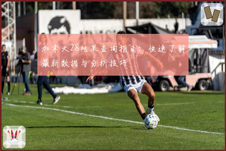 加拿大28结果查询指南：快速了解最新数据与分析技巧